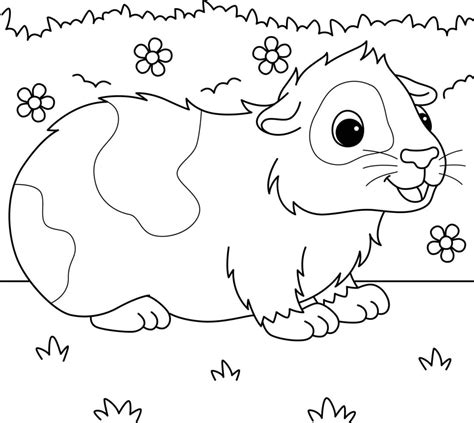 colouring pages guinea pigs|More.